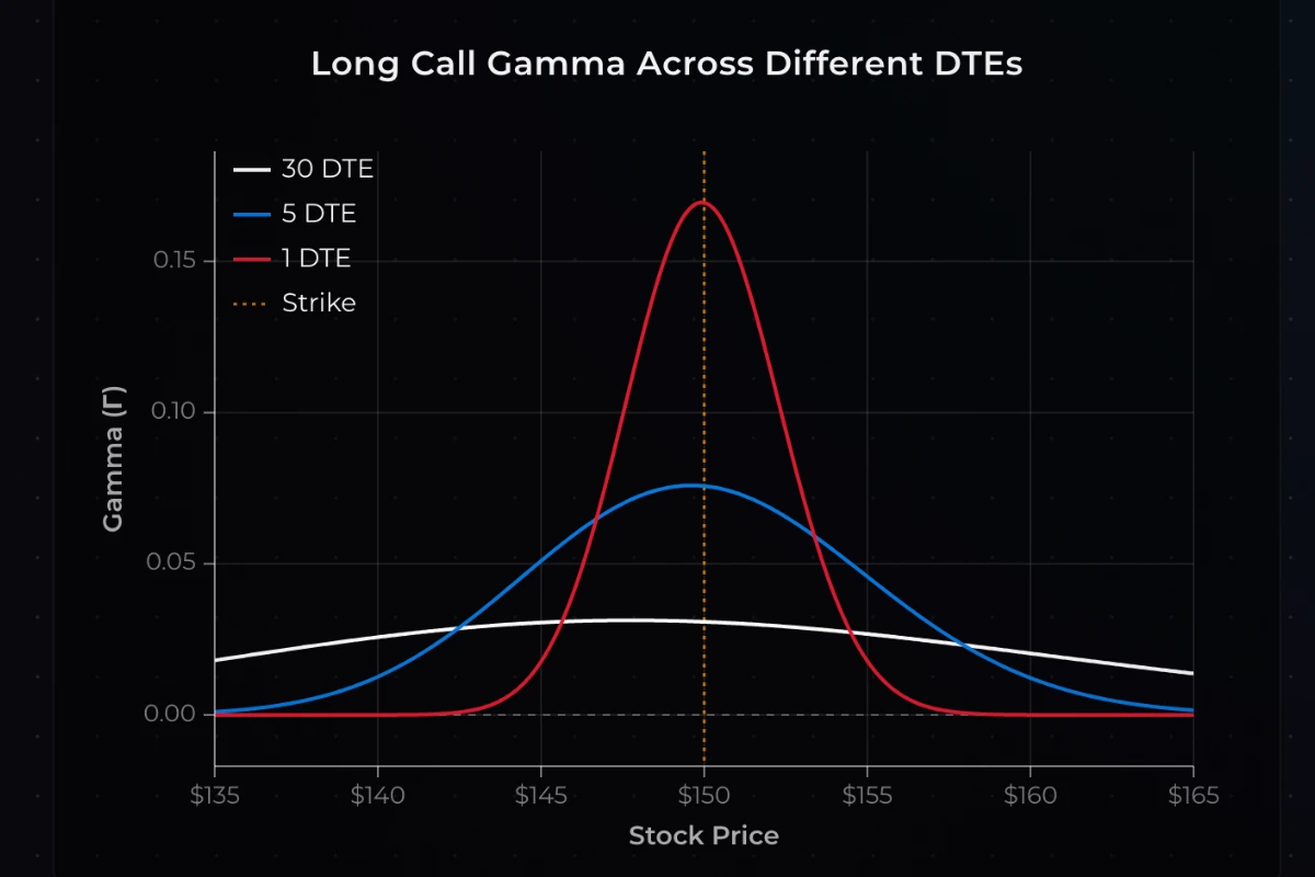 Long Gamma vs Short Gamma Explained